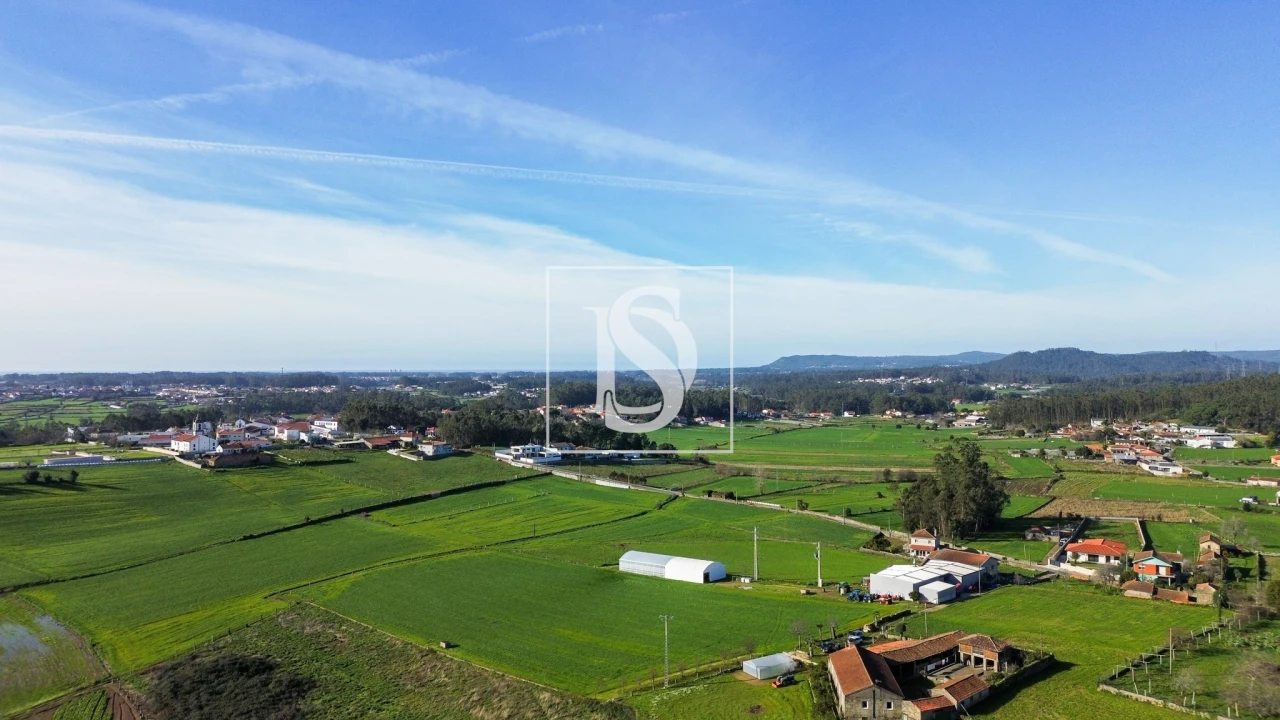Terreno para Venda em Cristelo Foto 7