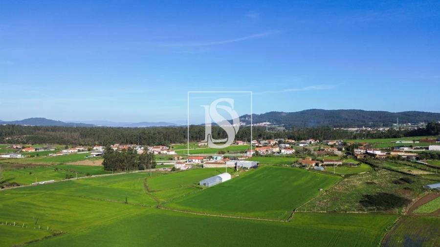 Terreno para Venda em Cristelo Foto 12