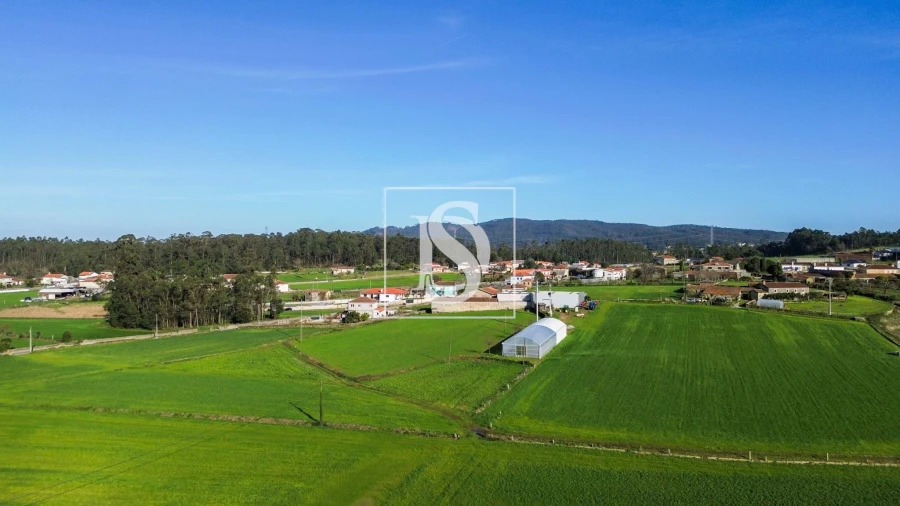 Terreno para Venda em Cristelo Foto 15
