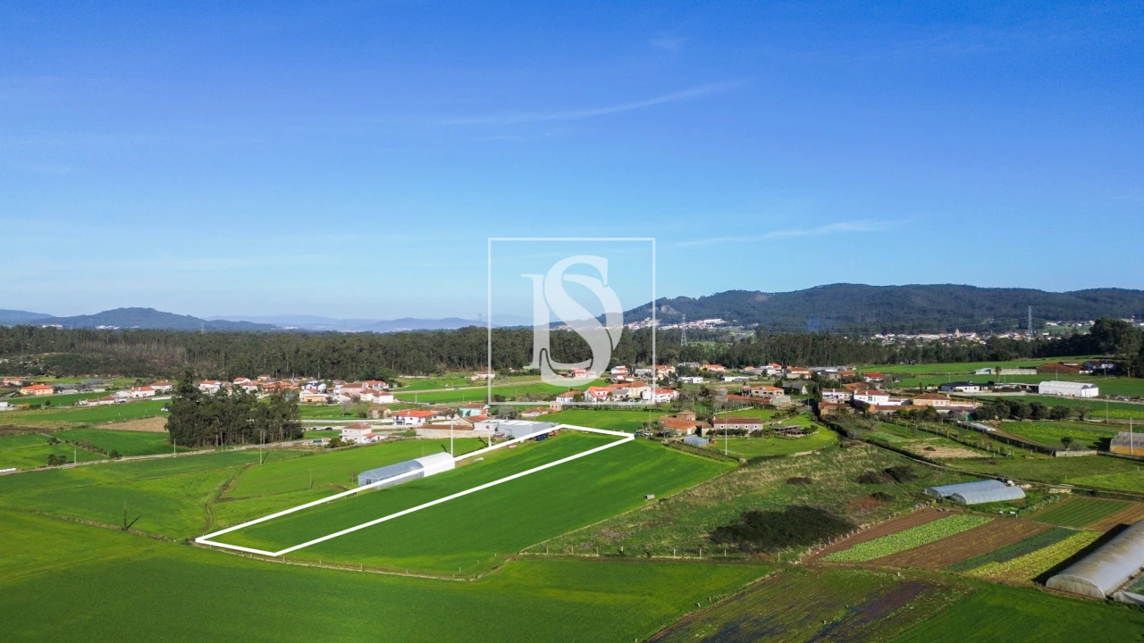 Terreno para Venda em Cristelo Foto 6