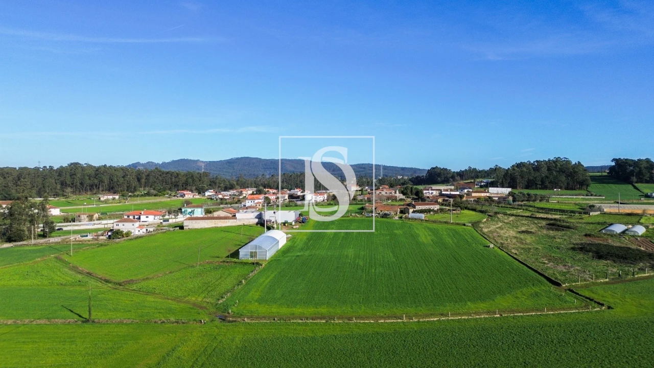 Terreno para Venda em Cristelo Foto 14
