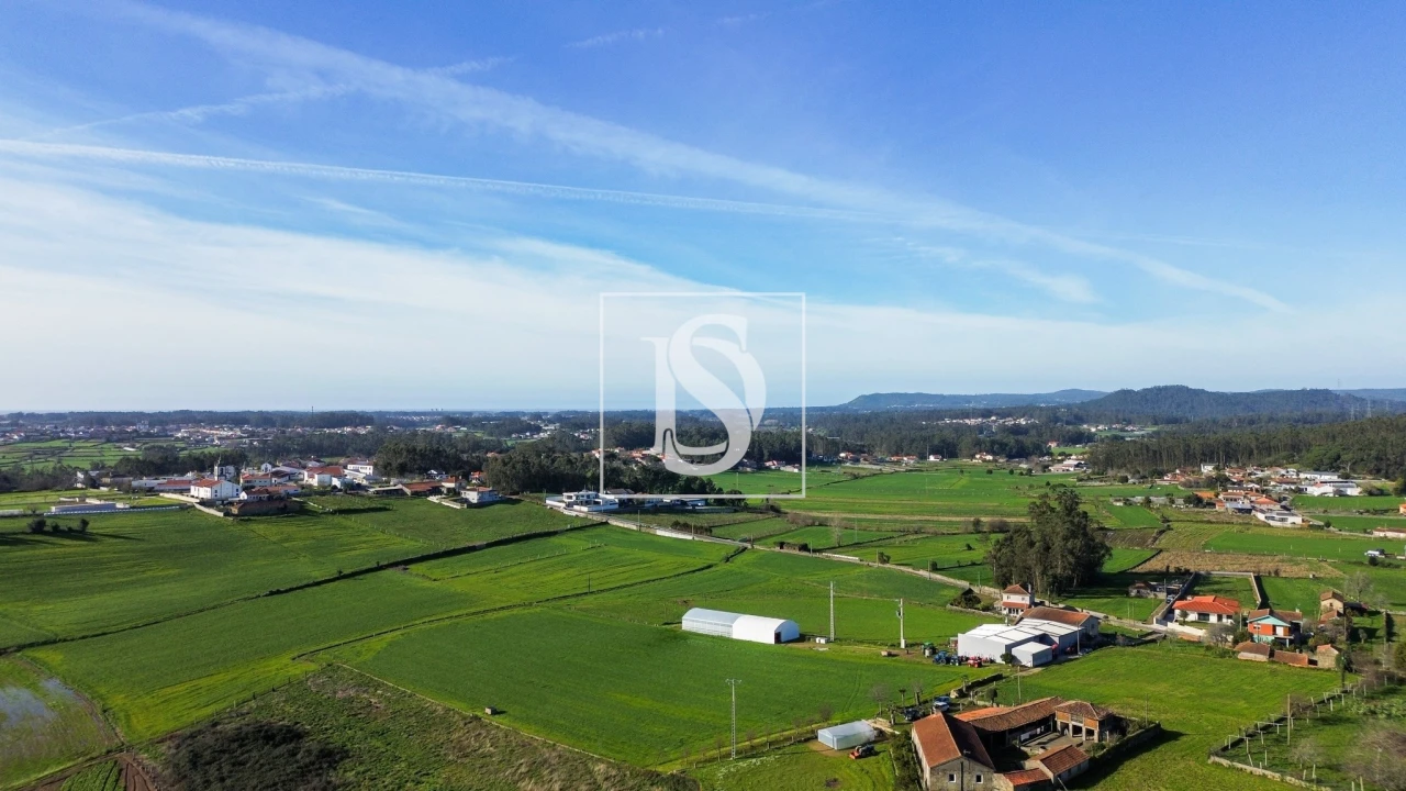 Terreno para Venda em Cristelo Foto 8