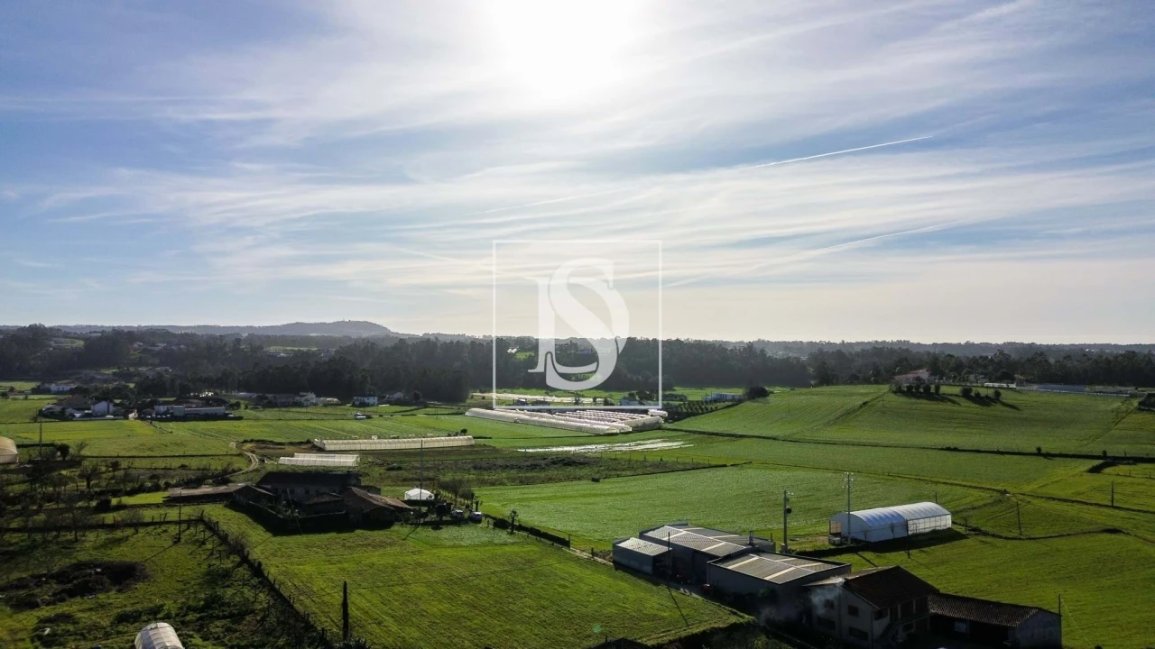 Terreno para Venda em Cristelo Foto 20