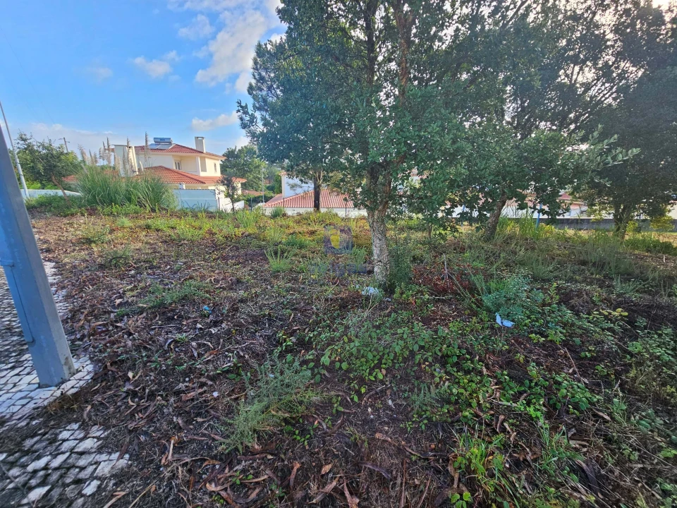 Terreno para Venda em Nadadouro Foto 3