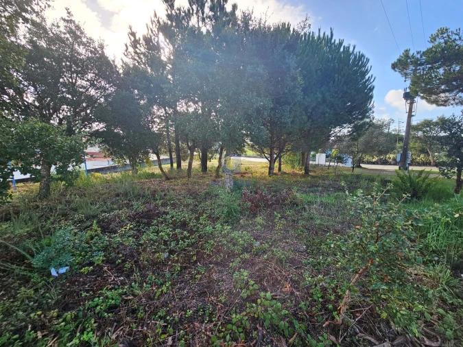 Terreno para Venda em Nadadouro