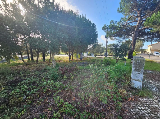 Terreno para Venda em Nadadouro Foto 2