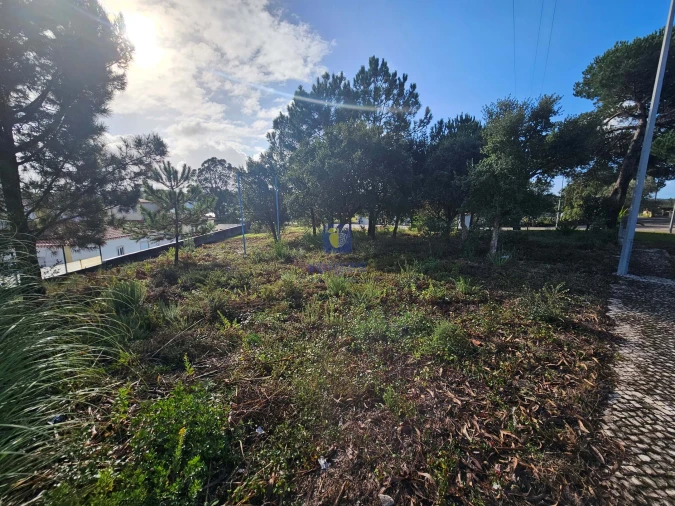 Terreno para Venda em Nadadouro Foto 6