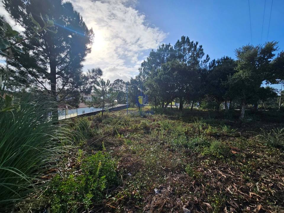 Terreno para Venda em Nadadouro Foto 5