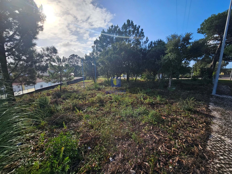 Terreno para Venda em Nadadouro Foto 6