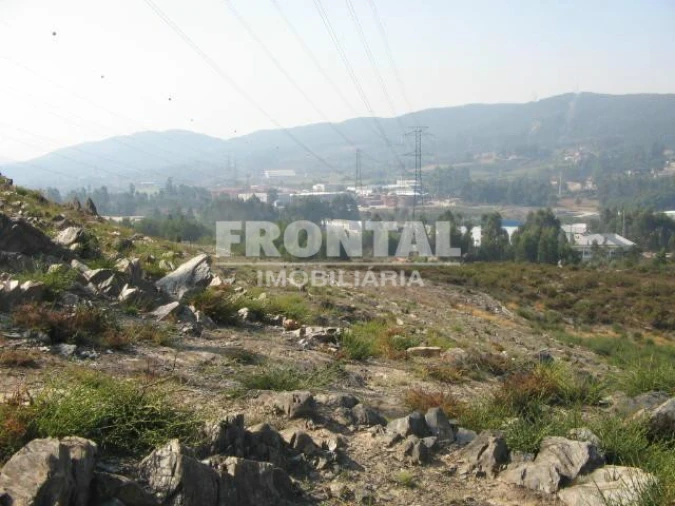 Terreno para Venda em Campo e Sobrado Foto 4