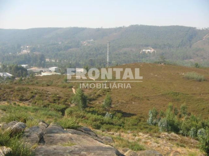 Terreno para Venda em Campo e Sobrado Foto 1