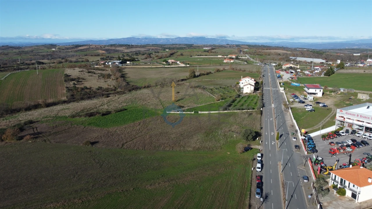 Terreno Agricola ou Rústico para Venda em Mogadouro, Valverde, Vale de Porco e Vilar de Rei Foto 6
