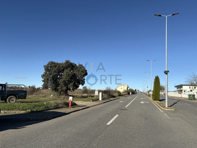 Terreno Agricola ou Rústico para Venda em Mogadouro, Valverde, Vale de Porco e Vilar de Rei Foto 2