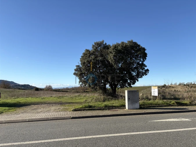 Terreno Agricola ou Rústico para Venda em Mogadouro, Valverde, Vale de Porco e Vilar de Rei Foto 1