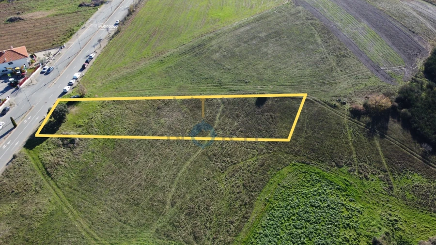 Terreno Agricola ou Rústico para Venda em Mogadouro, Valverde, Vale de Porco e Vilar de Rei Foto 3