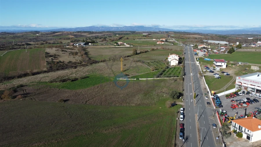 Terreno Agricola ou Rústico para Venda em Mogadouro, Valverde, Vale de Porco e Vilar de Rei Foto 6