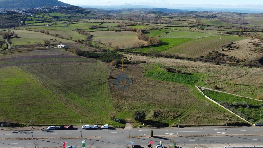 Terreno Agricola ou Rústico para Venda em Mogadouro, Valverde, Vale de Porco e Vilar de Rei Foto 5