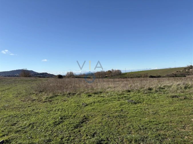 Terreno Agricola ou Rústico para Venda em Mogadouro, Valverde, Vale de Porco e Vilar de Rei Foto 4