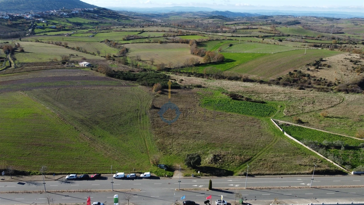 Terreno Agricola ou Rústico para Venda em Mogadouro, Valverde, Vale de Porco e Vilar de Rei Foto 5
