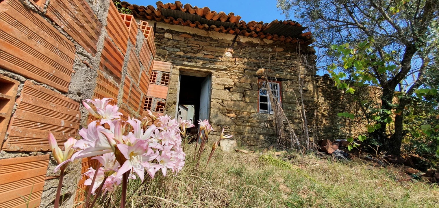 Quinta T2 para Venda em Santo Andre das Tojeiras Foto 2