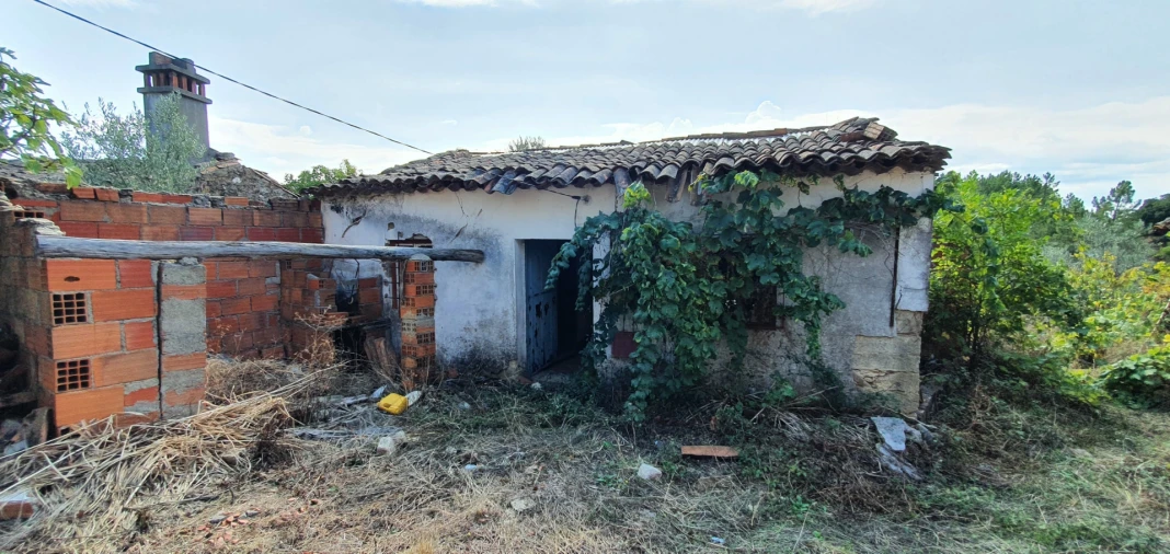 Quinta T2 para Venda em Santo Andre das Tojeiras Foto 11