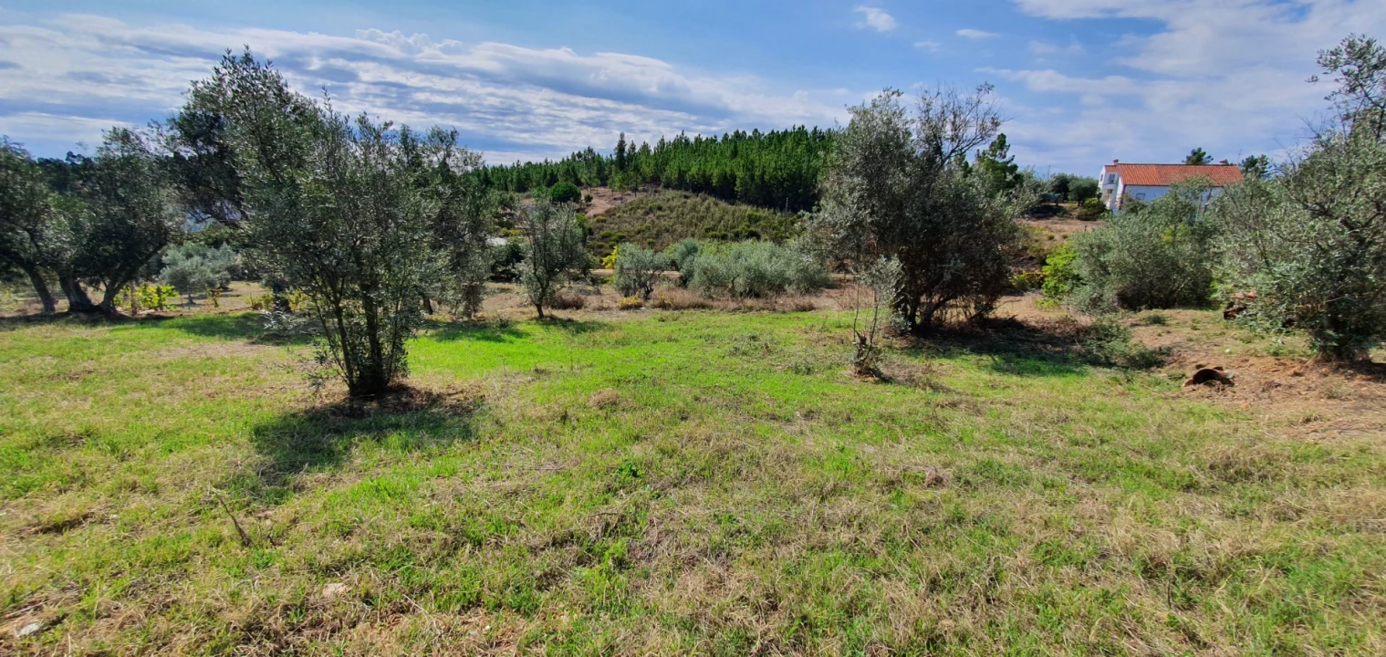 Quinta T2 para Venda em Santo Andre das Tojeiras Foto 3