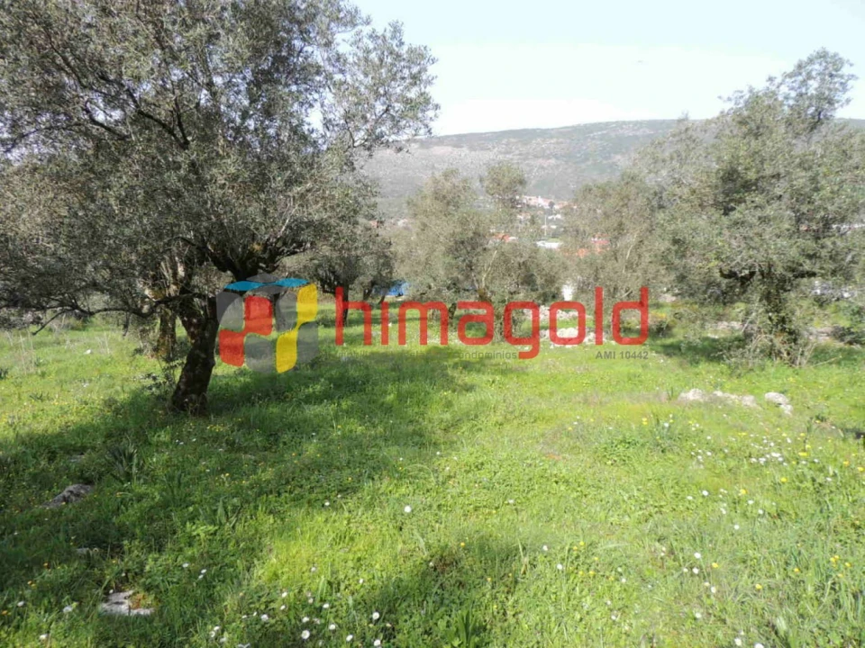 Terreno para Venda em Serro Ventoso Foto 4