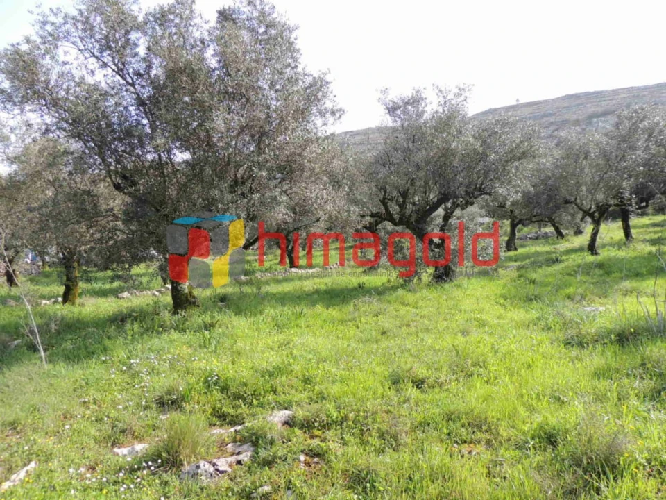 Terreno para Venda em Serro Ventoso Foto 9