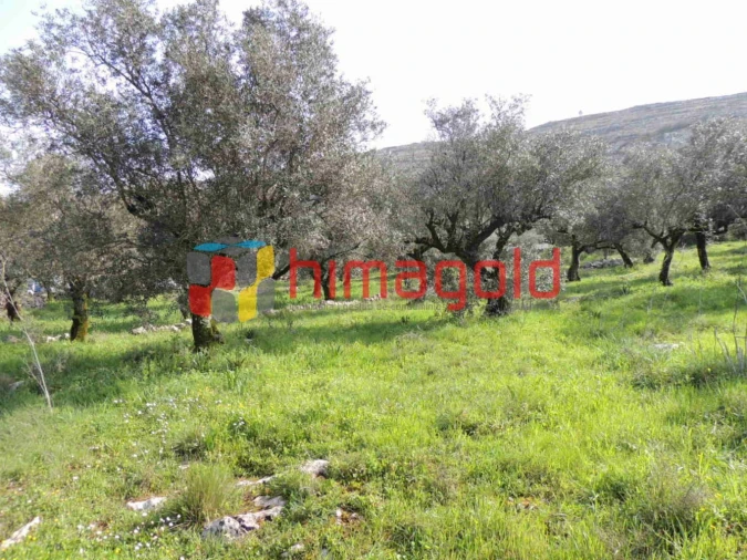 Terreno para Venda em Serro Ventoso Foto 9