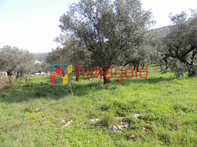 Terreno para Venda em Serro Ventoso Foto 10