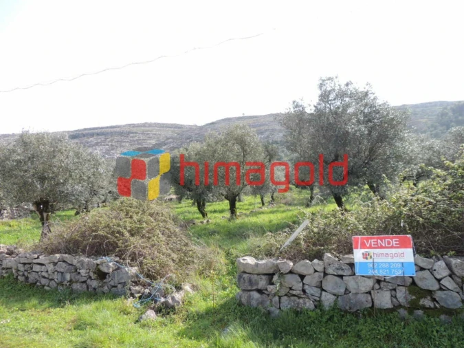 Terreno para Venda em Serro Ventoso