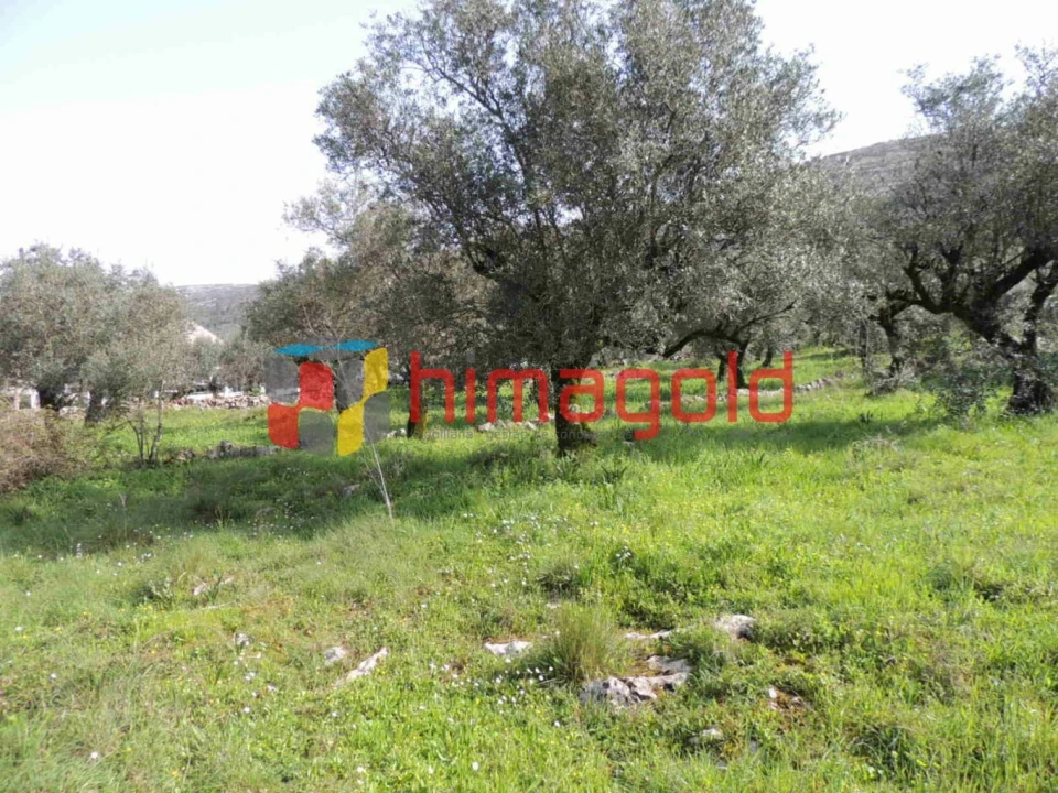 Terreno para Venda em Serro Ventoso Foto 10