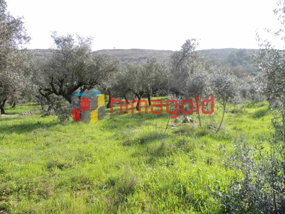 Terreno para Venda em Serro Ventoso Foto 11