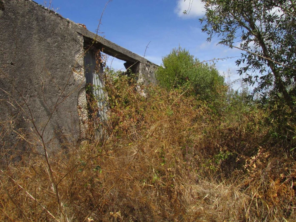 Terreno para Venda em Assentiz Foto 11