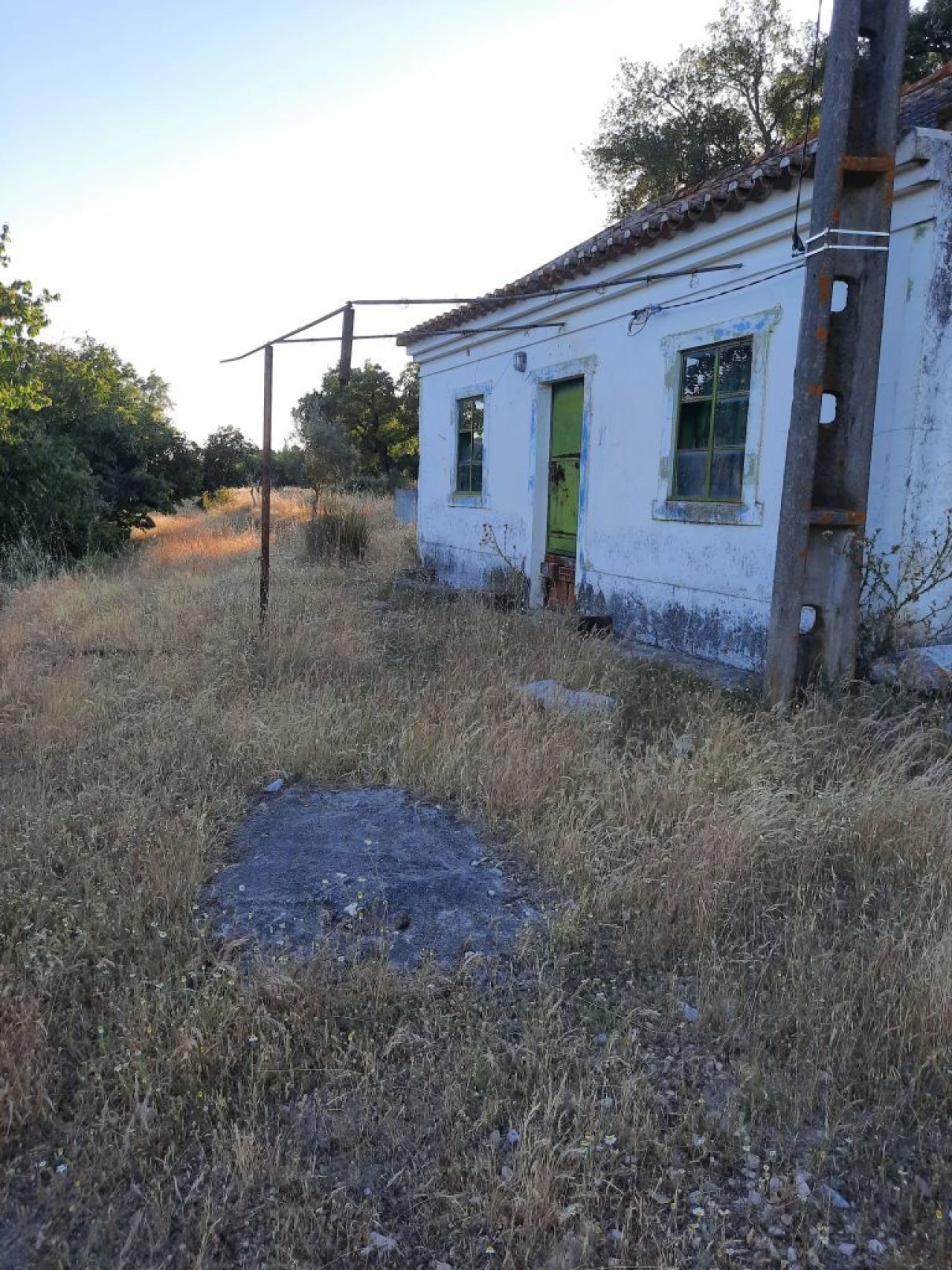 Terreno para Venda em Galveias Foto 3