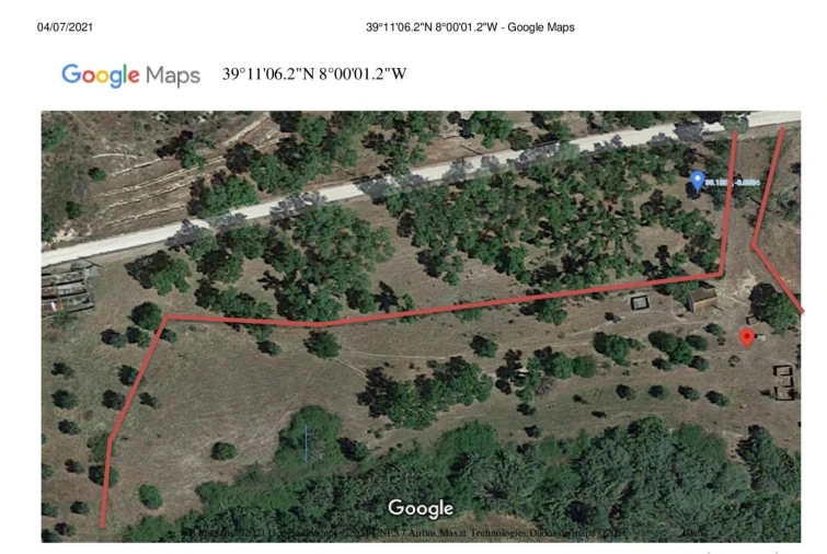 Terreno para Venda em Galveias Foto 11