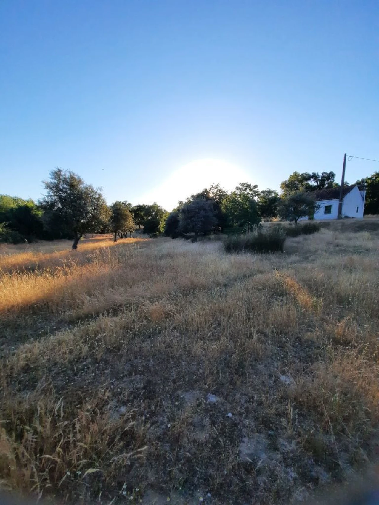 Terreno para Venda em Galveias Foto 4