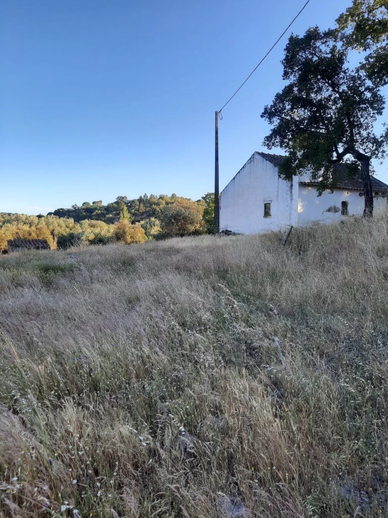 Terreno para Venda em Galveias Foto 1