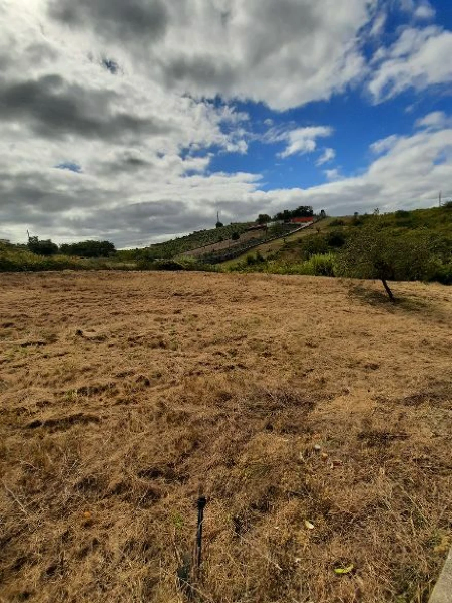 Terreno para Venda em Batalha Foto 6