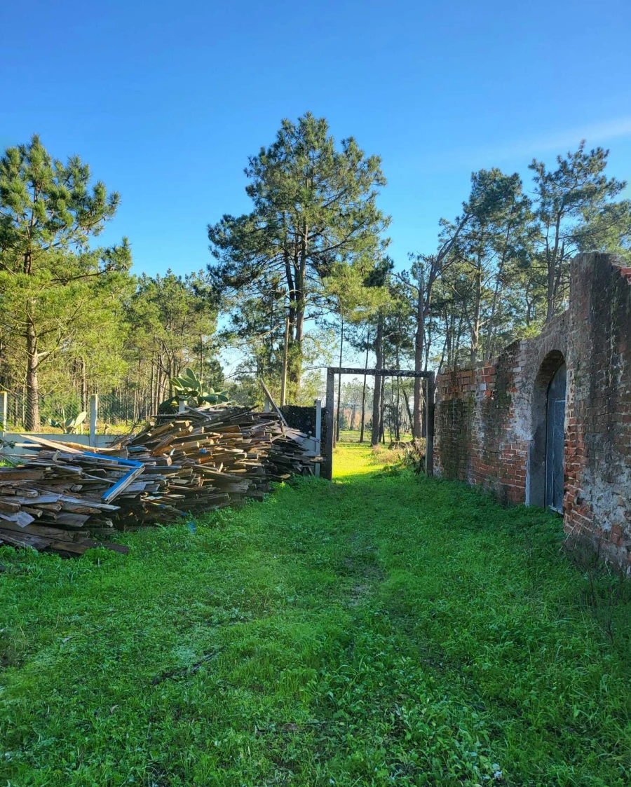 Terreno para Venda em Vieira de Leiria Foto 12