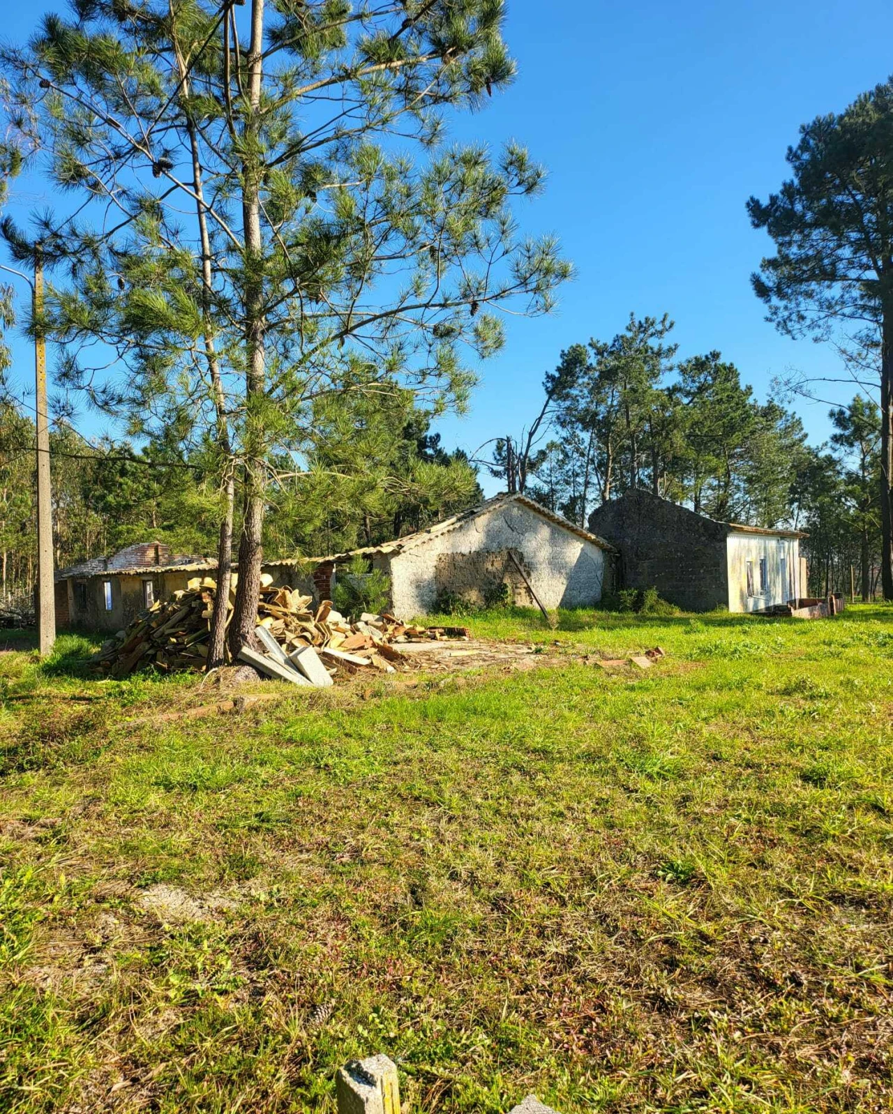 Terreno para Venda em Vieira de Leiria Foto 13