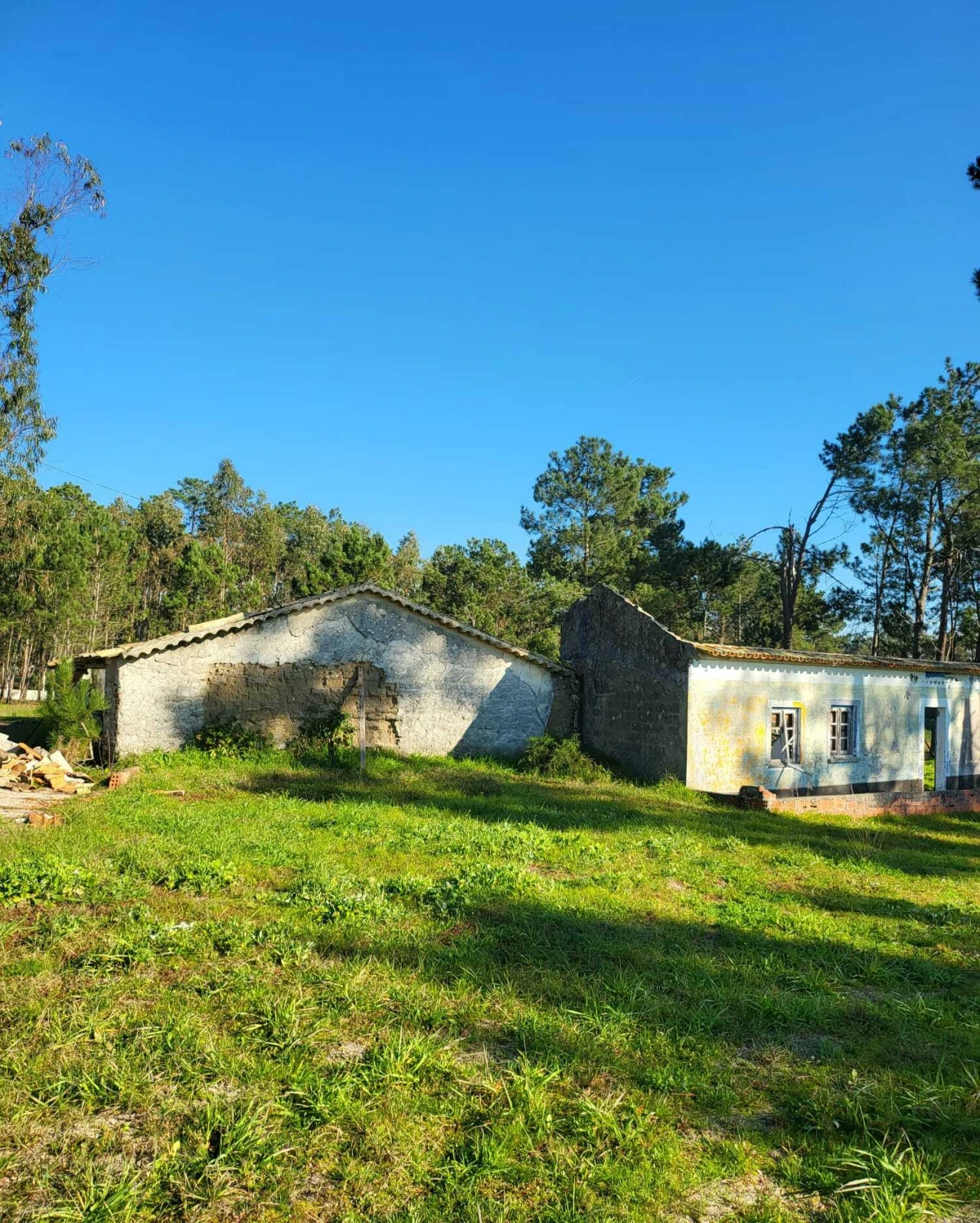Terreno para Venda em Vieira de Leiria Foto 6