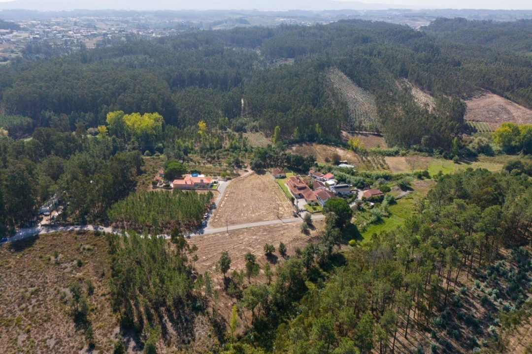 Terreno para Venda em Maceira Foto 11