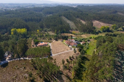 Terreno para Venda em Maceira