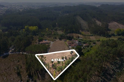 Terreno para Venda em Maceira