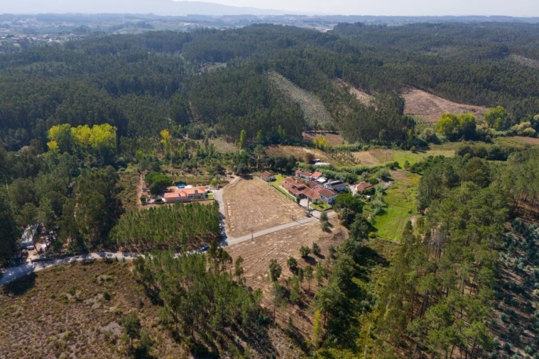 Terreno para Venda em Maceira Foto 4