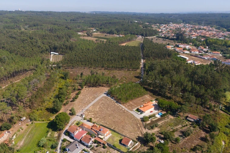 Terreno para Venda em Maceira Foto 18
