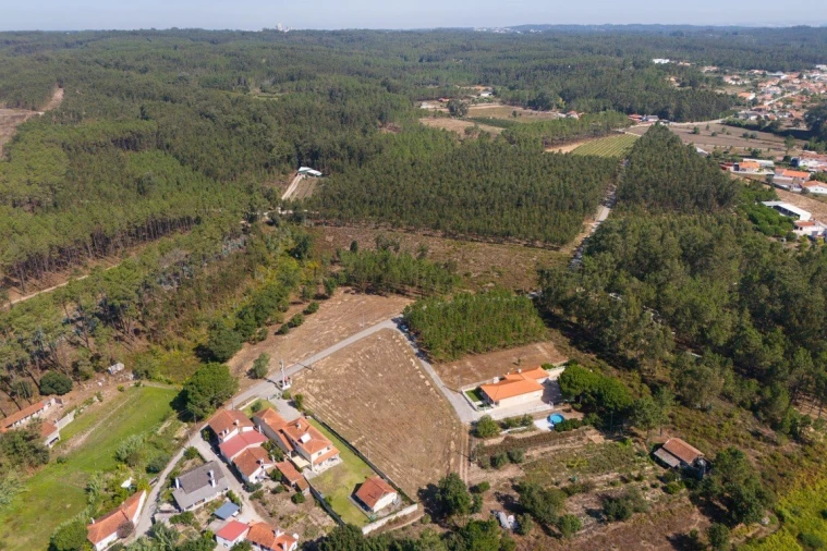 Terreno para Venda em Maceira Foto 19