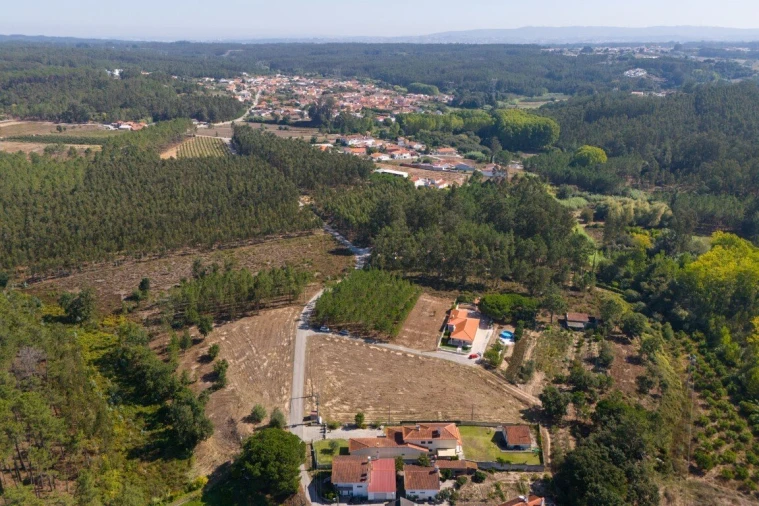 Terreno para Venda em Maceira Foto 16