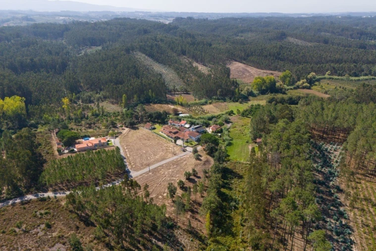Terreno para Venda em Maceira Foto 8